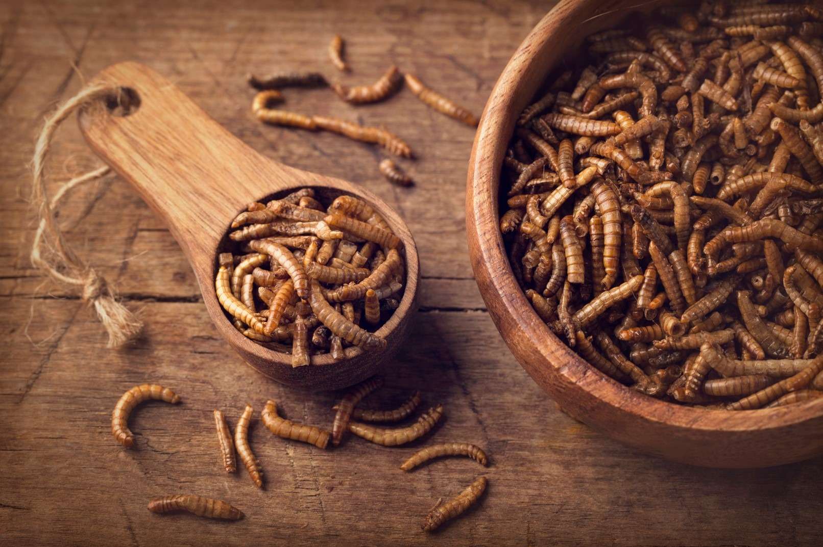 Power for food insects